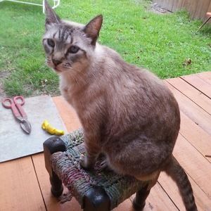 Meet your Posher, Crystal